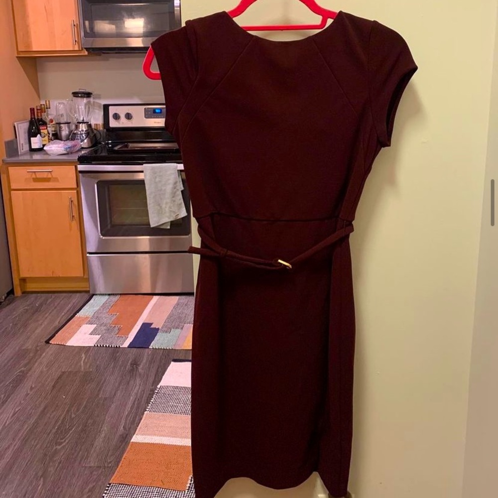 Express Maroon Dress